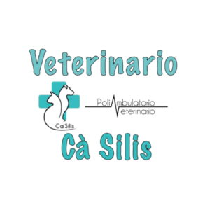 Sponsor Veterinario Ca Silis