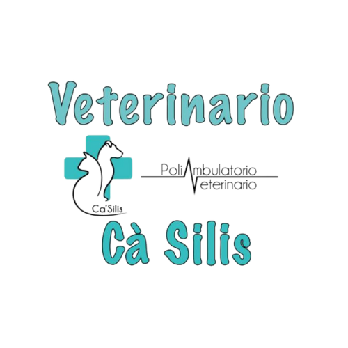 Sponsor Veterinario Ca Silis