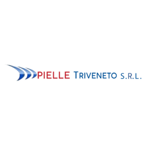 Sponsor Pielle Triveneto